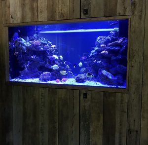 An aquarium installed with custom barn wood cabinetry.