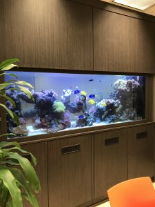 An aquarium installed in an office setting.