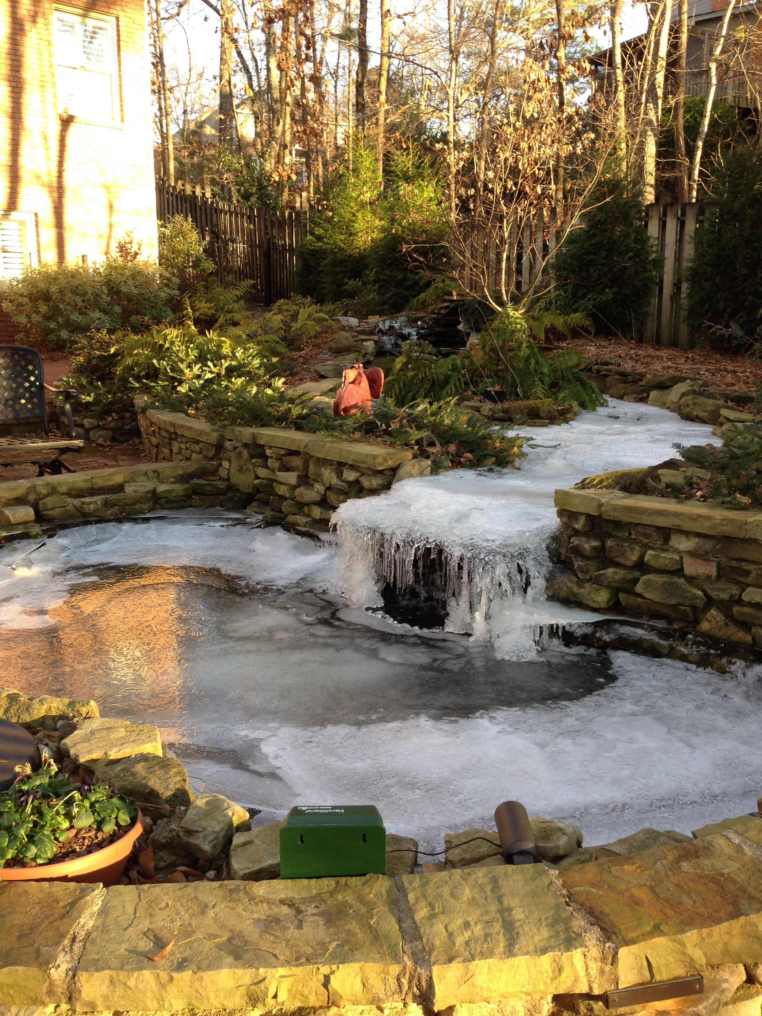 Will My Koi Pond Freeze in the Winter? - Alabama Aquarium & Pond